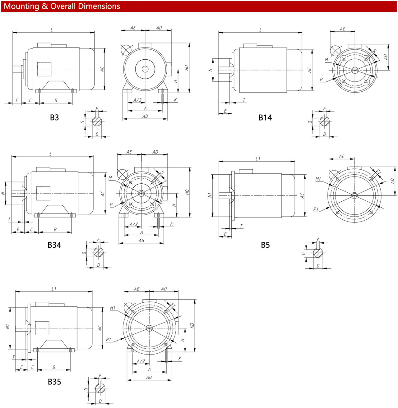 YY-c2.jpg